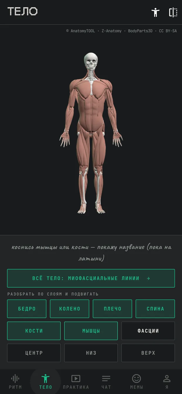 Экран приложения: 3D-тело полная анатомия и миофасциальные линии