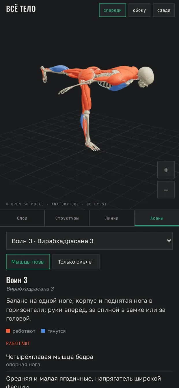 Экран приложения: Асаны в 3D-теле