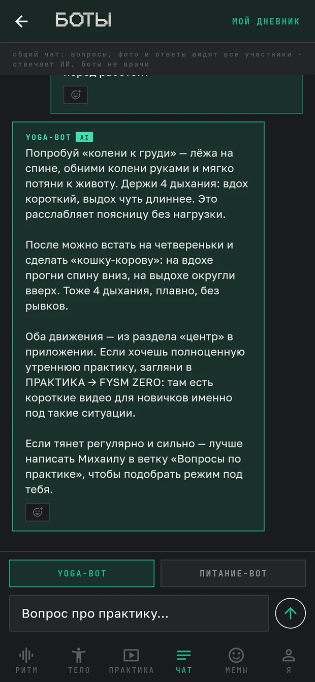 Экран приложения: Боты практика + питание