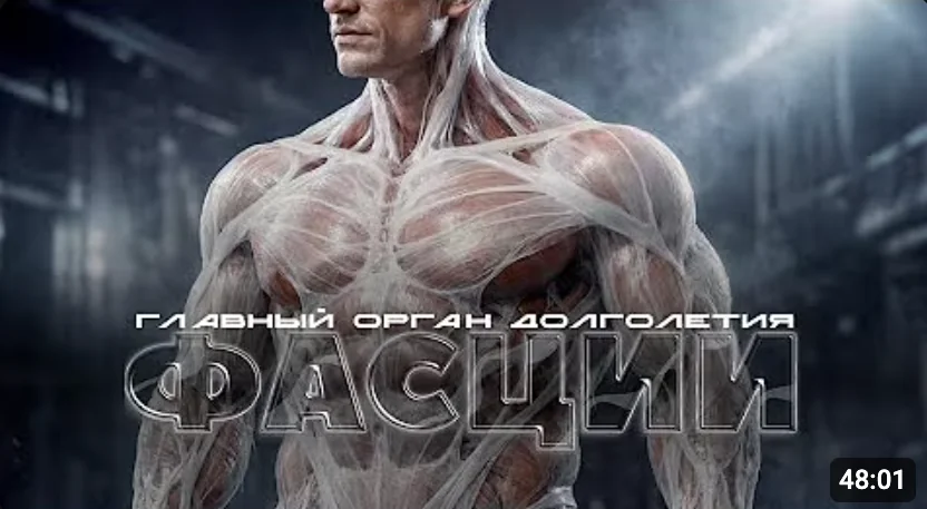 Обложка ролика «Фасции — главный орган долголетия»